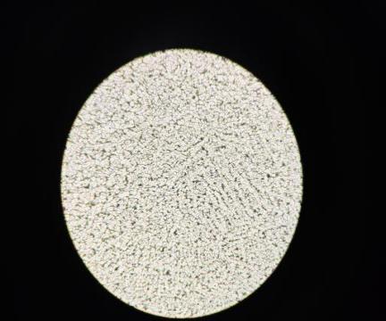 图示, 示意图

中度可信度描述已自动生成:ver1