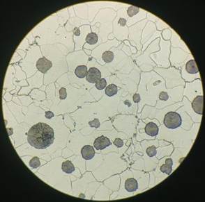 微信图片_20240817102425